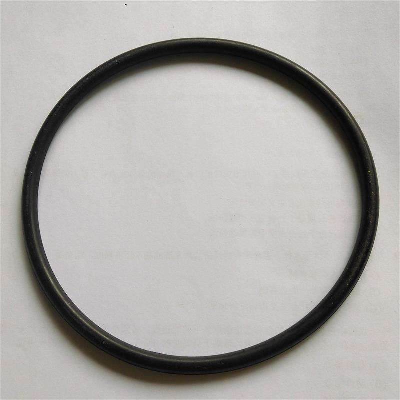 Cotton Picker O-Ring        T19854